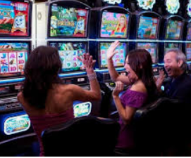 46倍狮子森林舞会2024最新版