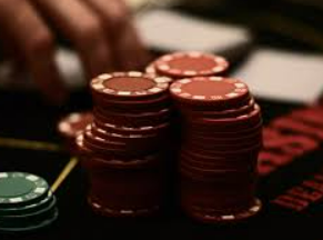 46倍狮子森林舞会2024最新版